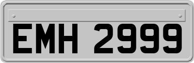 EMH2999