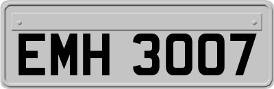 EMH3007