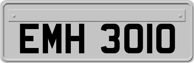 EMH3010