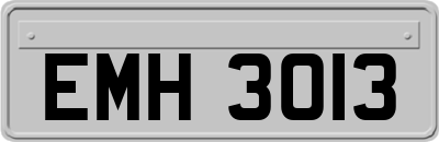 EMH3013