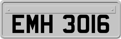 EMH3016