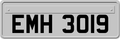 EMH3019