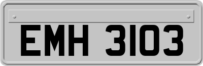 EMH3103