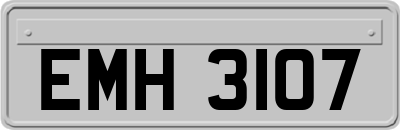 EMH3107