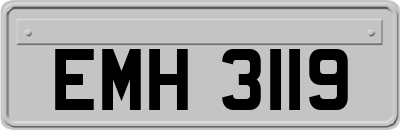 EMH3119