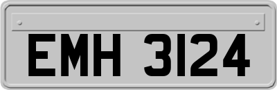 EMH3124
