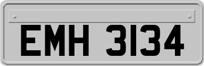 EMH3134