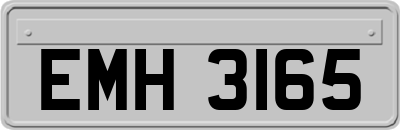 EMH3165