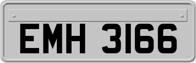 EMH3166