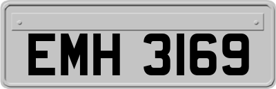 EMH3169