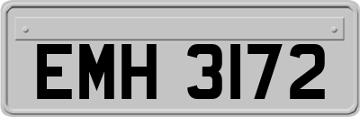 EMH3172