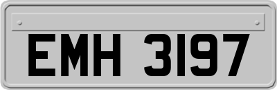 EMH3197