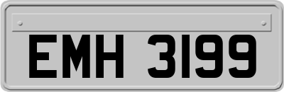 EMH3199