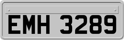 EMH3289