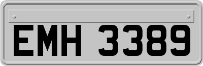 EMH3389