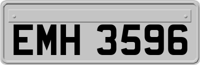 EMH3596