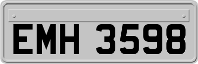 EMH3598