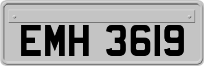 EMH3619