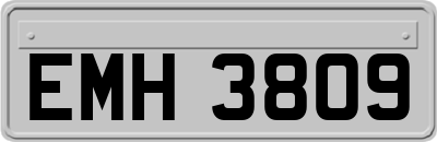 EMH3809