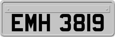 EMH3819