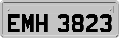 EMH3823