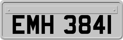 EMH3841