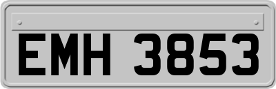 EMH3853
