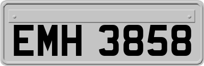 EMH3858