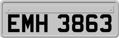 EMH3863