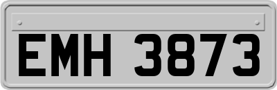 EMH3873