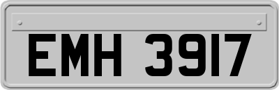 EMH3917