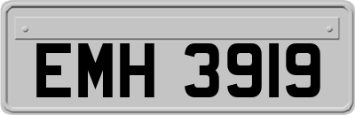 EMH3919