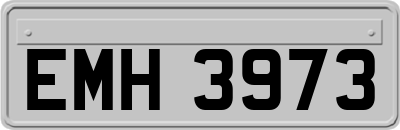 EMH3973