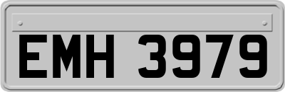 EMH3979