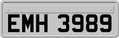 EMH3989