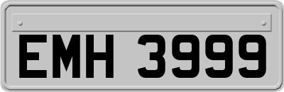 EMH3999