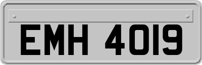 EMH4019