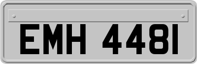 EMH4481
