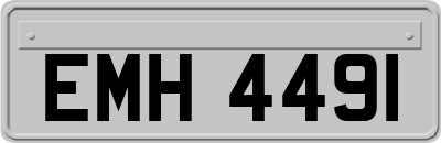 EMH4491