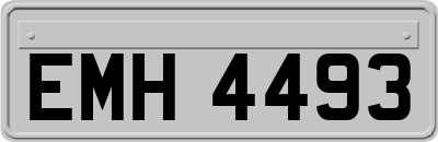 EMH4493