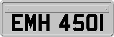 EMH4501