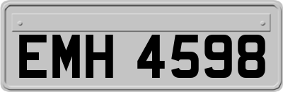 EMH4598
