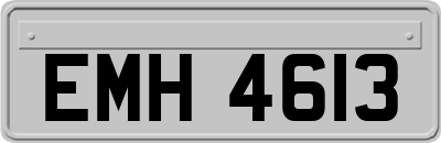 EMH4613