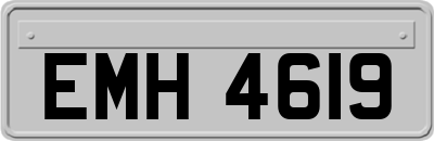 EMH4619