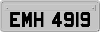 EMH4919