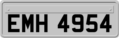 EMH4954