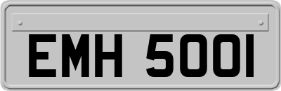 EMH5001