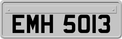EMH5013