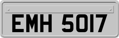 EMH5017
