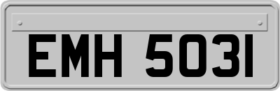 EMH5031